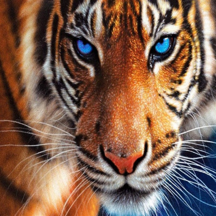 Creative tiger head 5D full diamond painting 20x25cm